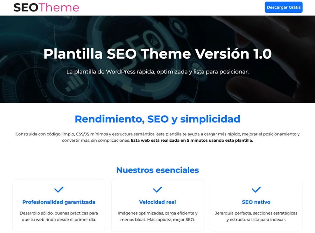 Plantilla SEO Theme 1.0